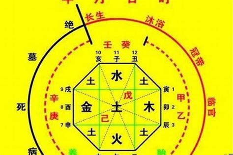 喜神是水|八字入门基础 第六篇 如何判断八字喜用神